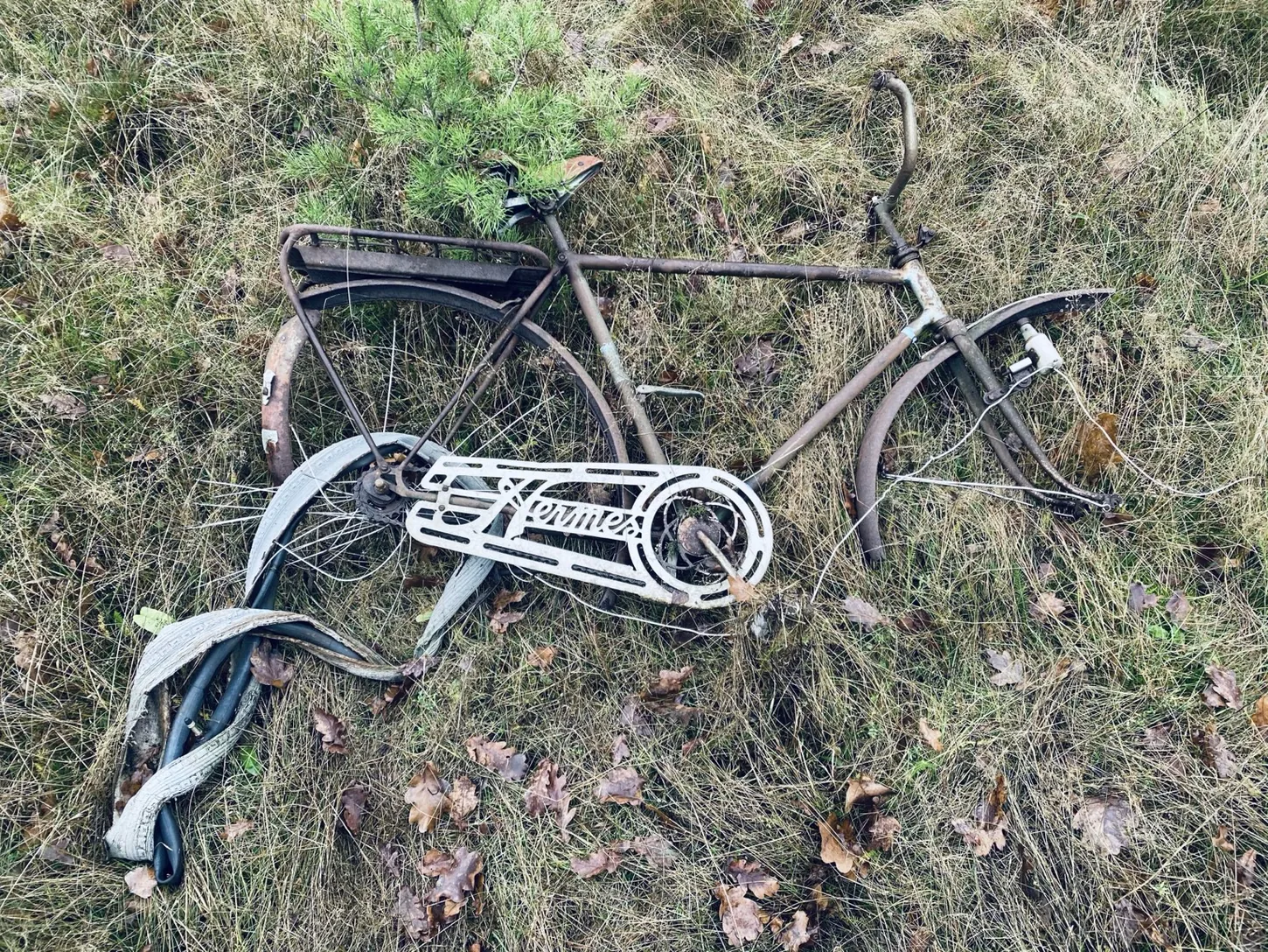 Cykeln