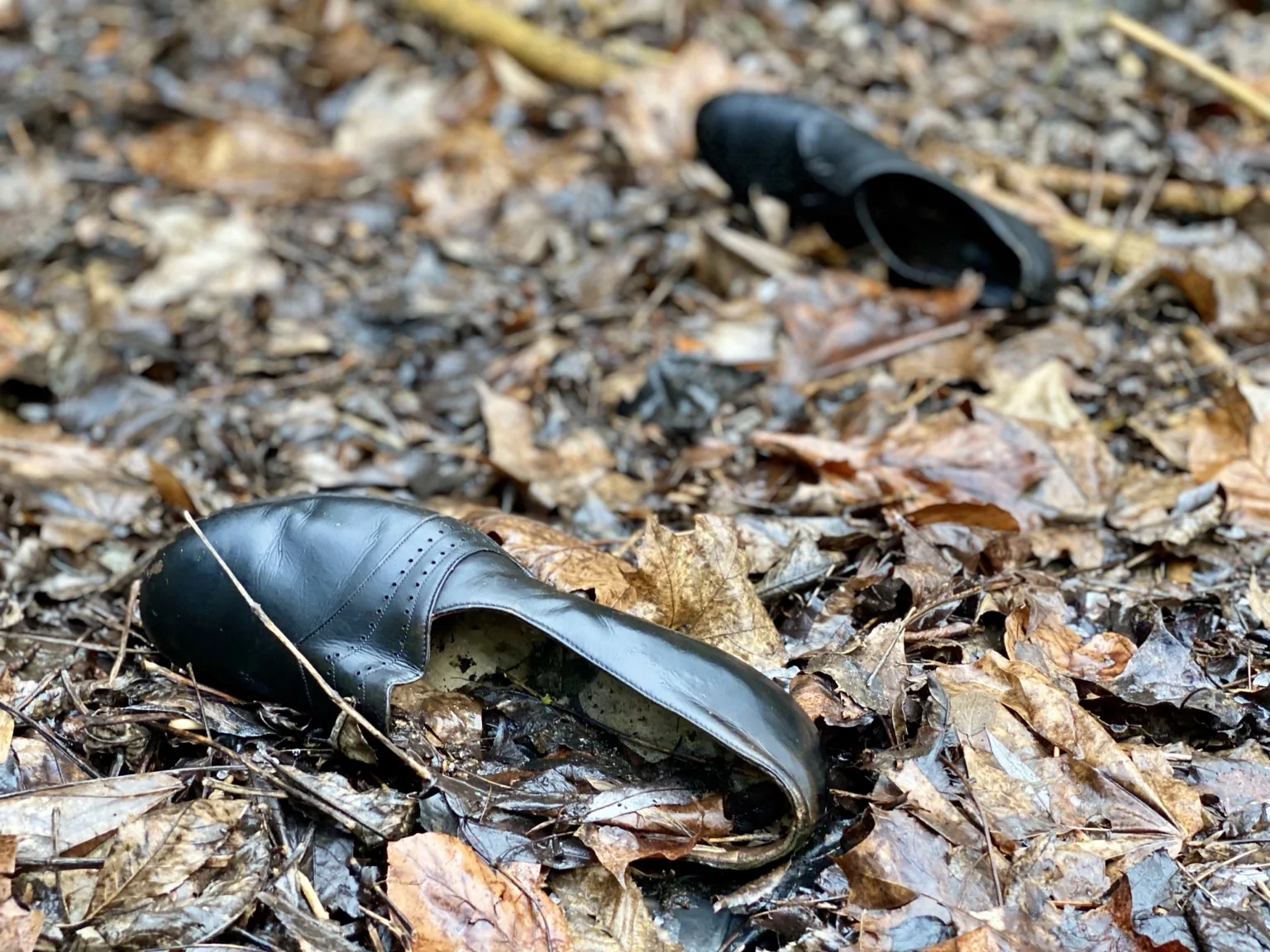 Black shoes among leaves